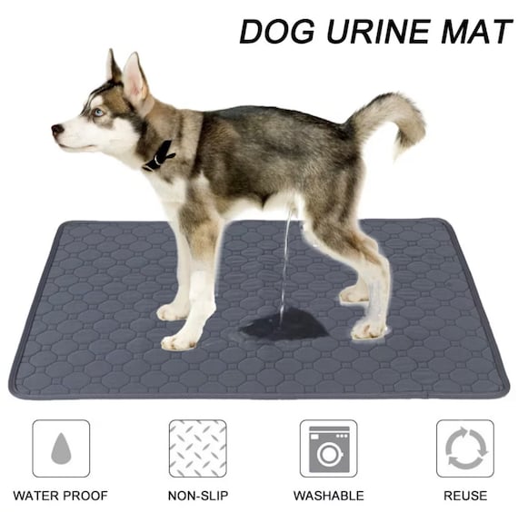 Dog Pee Pad Blanket Reusable Absorbent Diaper Washable Puppy Training Pad  Pet Bed Urine Mat for Pet Car Seat Cover 