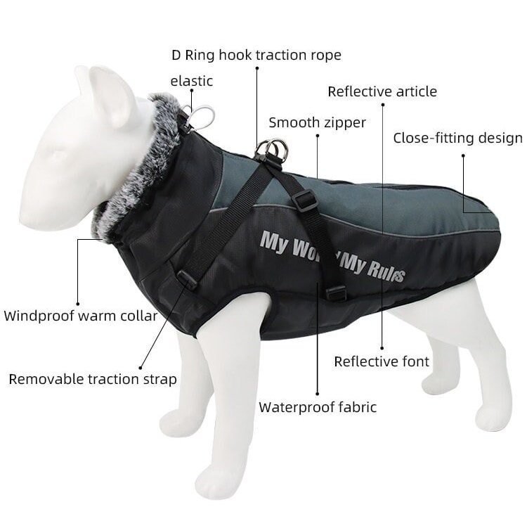 Korea Uni Dog Sweater, Yonsei Uni Dog Vest, French Bulldog Vest