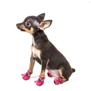 Botas de otoño para perros Chihuahua, zapatos para perros
