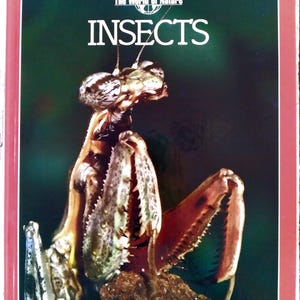 May include: A hardcover book titled "INSECTS" from "The World of Nature" series. The cover features a detailed close-up of a praying mantis in shades of brown, green, and red. The author's name, Marcus Schneck, is at the bottom.