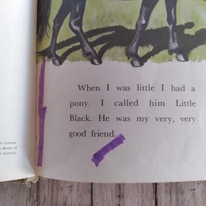 Pu&ograve; includere: Una pagina di libro aperta con testo e un'illustrazione di un pony. Il testo recita: "Quando ero piccolo avevo un pony. Lo chiamavo Little Black. Era il mio carissimo amico."