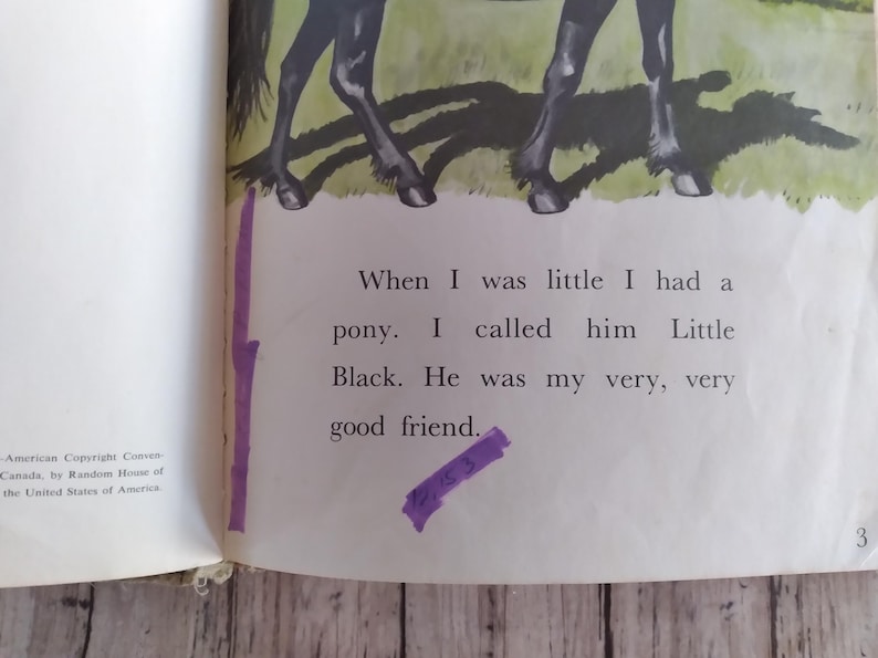 Pu&ograve; includere: Una pagina di libro aperta con testo e un'illustrazione di un pony. Il testo recita: "Quando ero piccolo avevo un pony. Lo chiamavo Little Black. Era il mio carissimo amico."