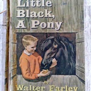 Pu&ograve; includere: Copertina di libro vintage per "Little Black, A Pony" di Walter Farley. La copertina presenta un ragazzo con un maglione arancione che nutre un pony nero. Il titolo &egrave; in grandi lettere bianche. Il libro ha un aspetto usurato.