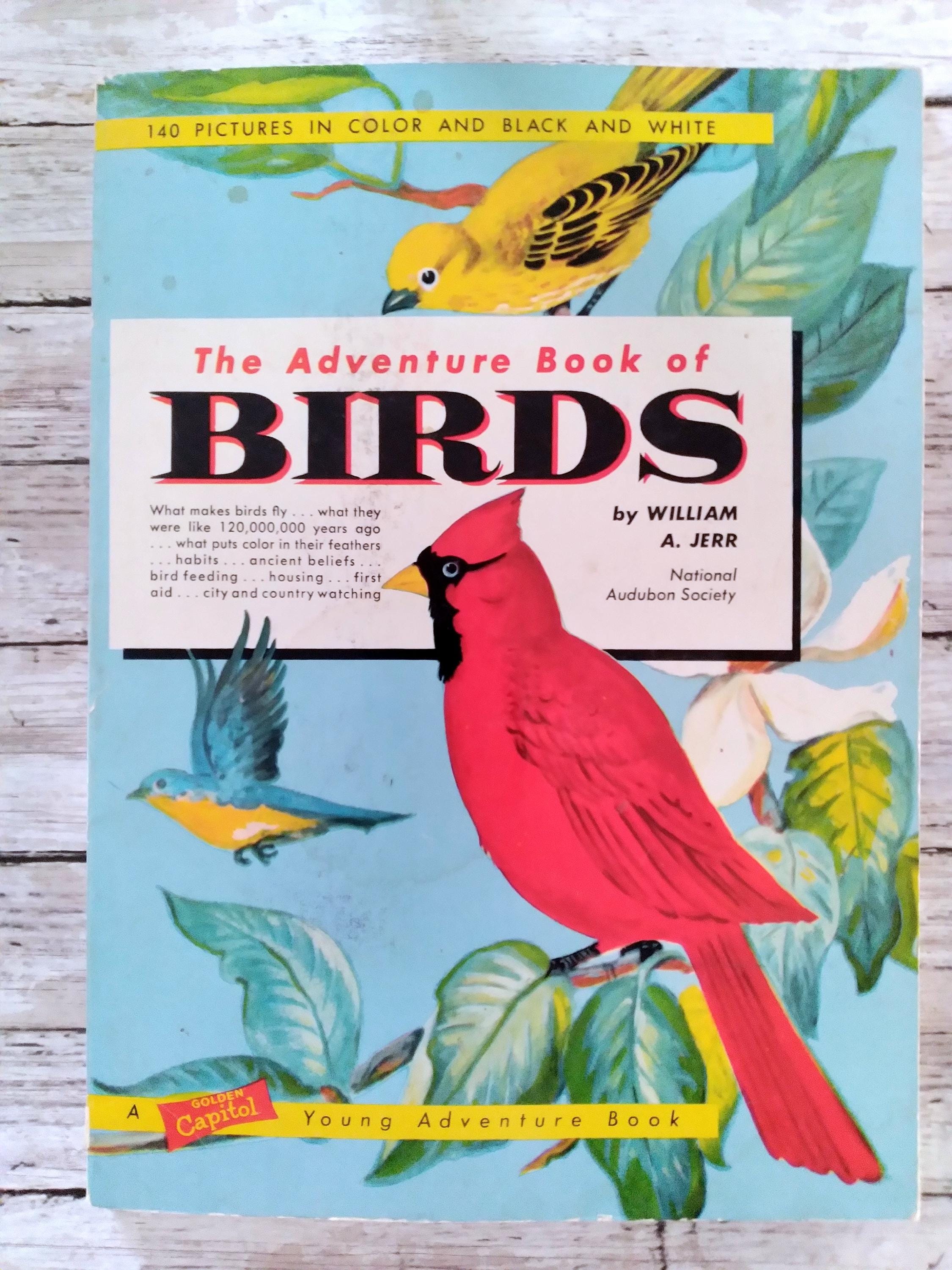 1960 the Adventure Book of Birds, National Audubon Society - Etsy