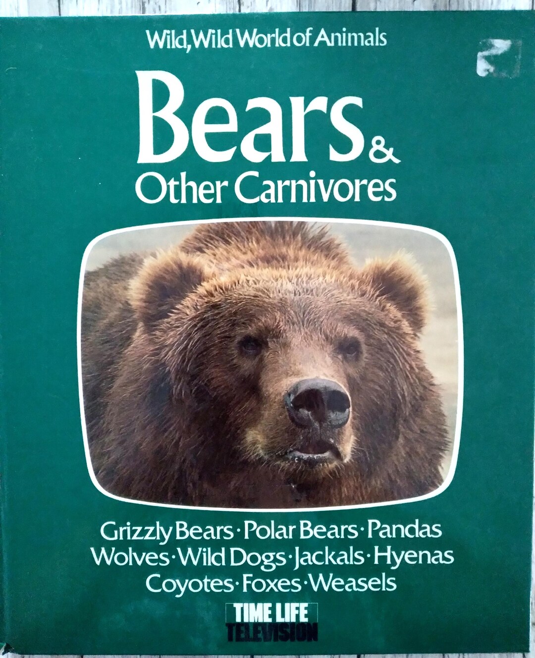 1976 Bears and Other Carnivores, Time Life - Etsy