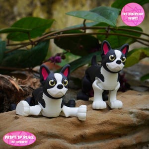 Print-In-Place Cute flexi Boston Terrier Dog Articulated / 3D Print Instant Download/3D Printed Toy/dog articulated/flexi boston terrier