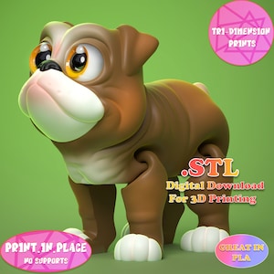 Niedliche Flexi Bulldogge Spielzeug / 3D Druck Sofortdownload / 3D gedrucktes Spielzeug / 3D gedruckte Bulldogge / Flexi Bulldogge