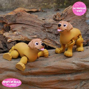Cane Labrador flessibile e articolato da stampare sul posto / Stampa 3D con download istantaneo / Giocattolo stampato in 3D / Cane articolato / Labrador flessibile