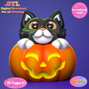 Schattig pompoenkatspeelgoed/3D-print Instant Download/3D-geprint speelgoed/3D-geprint kat/kattenspeelgoed