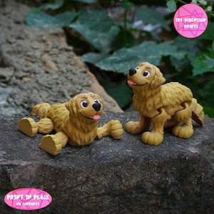 Print-In-Place Cute flexi Golden Retriever Dog Articulated / 3D Print Instant Download/3D Printed Toy/dog articulated/flexi golden retriever