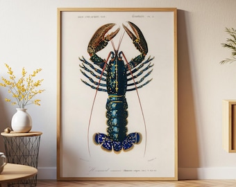 Blå hummerposter: Vintage marinbiologisk väggkonsttryck, karmosinröda kräftor