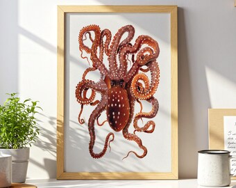 Lámina de pulpo: Ilustración vintage de vida marina, póster del océano
