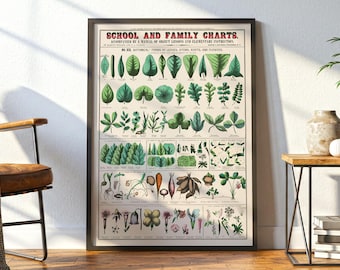 植物画の壁掛けアート：ヴィンテージ風教室用ポスター、葉、茎、根、花の形を描いたプリント