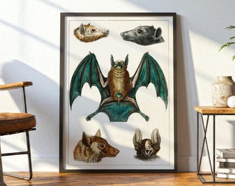 Vintage Bat Wall Art: Natural History Animal Print, Gothic Wall Art
