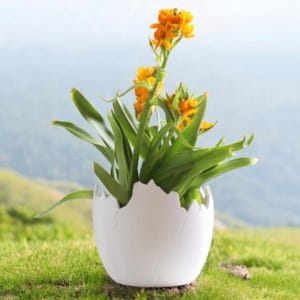 Eggshell Shaped Planter | 3D Printed Planter | Unique Planter | Flower Pot | Gift for Her | Homestead Decor | Porch Planter