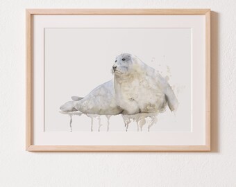 Seal Watercolor Art Print | Watercolor | animal