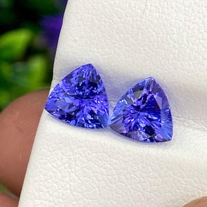 May include: Two loose, trillion-cut tanzanite gemstones featuring a vibrant violet-blue hue and faceted surfaces that reflect light. These triangular-shaped stones are displayed side-by-side, showcasing their deep color saturation and clarity.