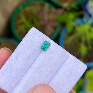 Natural Zambia Emerald  SOLD OUT