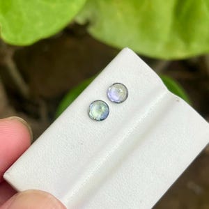 May include: Two round, iridescent gemstones with blue, green, and purple hues are displayed on a white surface. The gemstones are held in place by a person's fingers. The background is blurred, with green foliage visible.