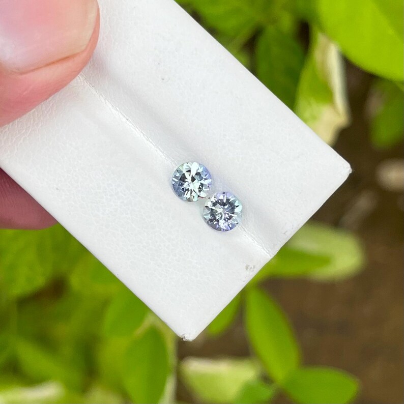 May include: Two round, light blue gemstones with intricate facets are displayed on a white surface. The gems are held against a backdrop of green foliage, highlighting their clarity and color. The gemstones are likely for jewelry.