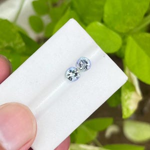 May include: Two round, light blue gemstones with intricate internal patterns are displayed on a white surface. The gems are set against a backdrop of green foliage, highlighting their color and clarity. The gemstones are likely for jewelry.