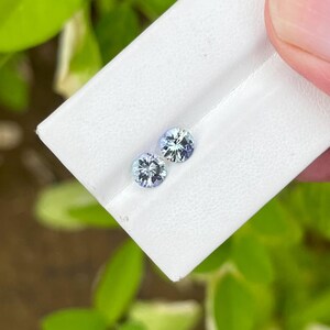 May include: Two round, light blue gemstones with intricate facets are displayed on a white surface. The gemstones are held against a backdrop of green foliage, creating a contrast of colors and textures. The gems sparkle, suggesting they are of high quality.