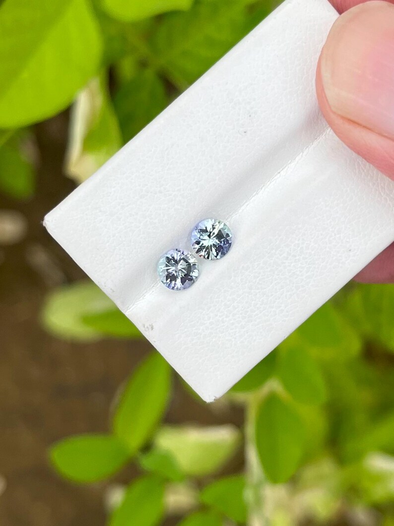 May include: Two round, light blue gemstones with intricate facets are displayed on a white surface. The gemstones are held against a backdrop of green foliage, creating a contrast of colors and textures. The gems sparkle, suggesting they are of high quality.