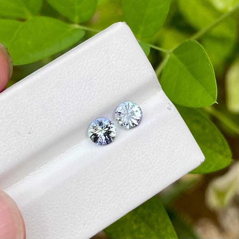May include: Two round, faceted gemstones with a light blue and purple hue, resting on a white surface. The gems are displayed against a backdrop of green foliage, showcasing their brilliance and clarity. The gems are likely for jewelry.