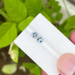 May include: Two round, light blue gemstones are displayed on a white surface, held by a hand. The gemstones have a sparkling appearance. The background features green foliage.