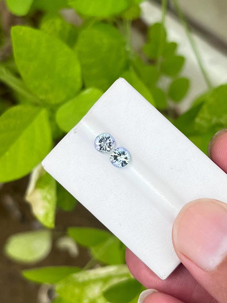 May include: Two round, light blue gemstones are displayed on a white surface, held by a hand. The gemstones have a sparkling appearance. The background features green foliage.