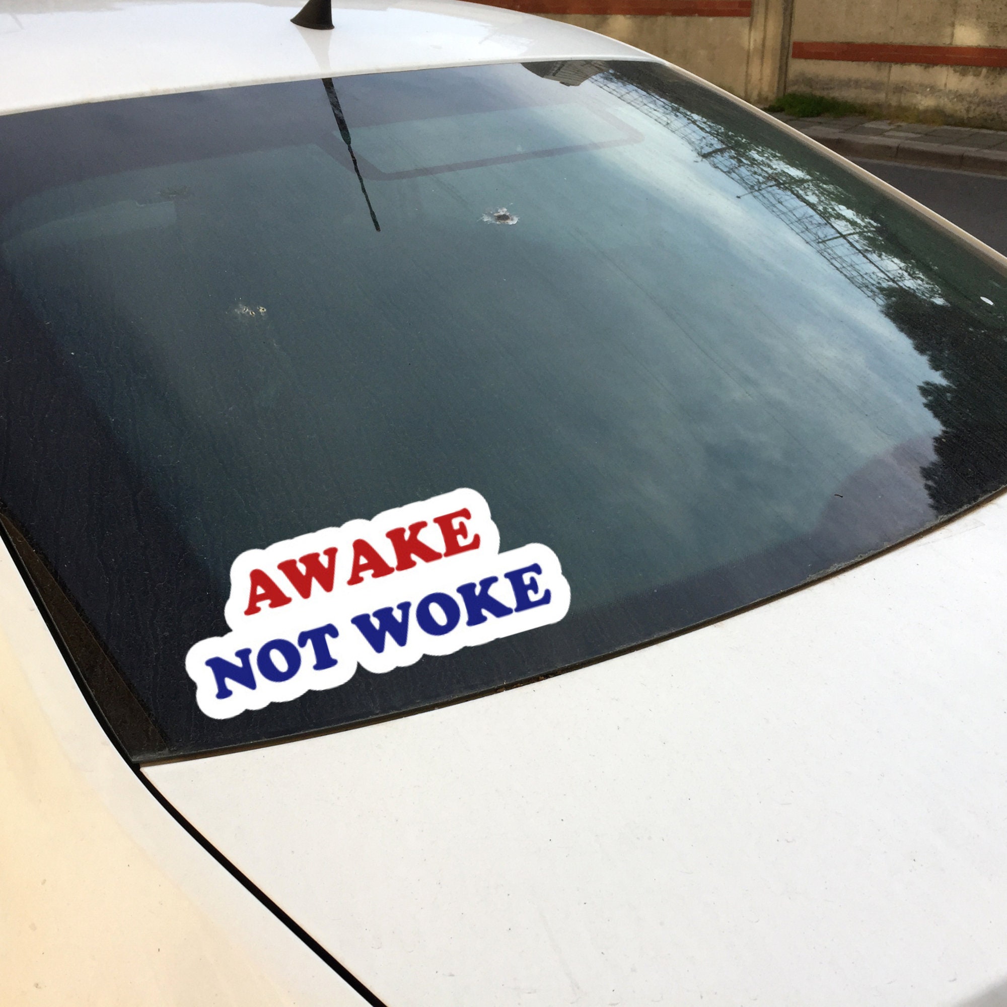 Awake Not Woke Decal Sticker. Multiple Sizes Available. - Etsy