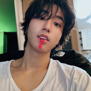 polaroids de han jisung