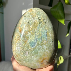 Ocean Jasper Freeform, large | natural crystal  | crystals for the home | statement crystal freeform | sea jasper
