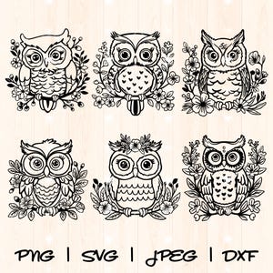 Owl Svg Png | Owl Vector | Owl Clipart | Cute Owl Svg | Floral Owl Svg | Flower Owls Svg | Owl Svg Bundle | Owl Cut File Woodland Animal Svg