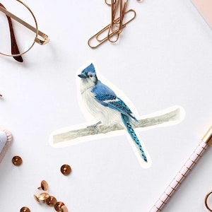 Blue Jay Sticker, Watercolor Blue Jay Sticker, Laminated Vinyl Sticker Water Resistant, Bird Sticker, Cute Blue Bird Sticker, Backyard Bird