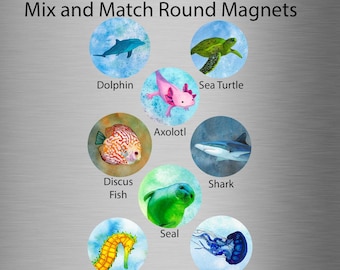 May include: Set of eight round magnets featuring colorful illustrations of sea creatures, including a dolphin, sea turtle, axolotl, discus fish, shark, seal, seahorse, and jellyfish. The magnets are labeled with the name of each creature.