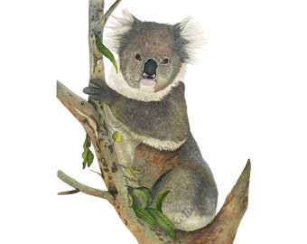 Koala Watercolor Art Print, Cute Koala Bear Art, Koala Wall Decor, Australian Animal, Koala Nursery Wall Art, Koala Bear Gifts, Nature Art.