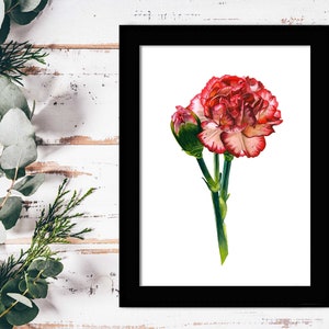 Carnation Flower Watercolor Art Print Birth Month Flower Wall Art January Birthday Gift for Her Red Carnation Home Decor Artwork Gift Mom