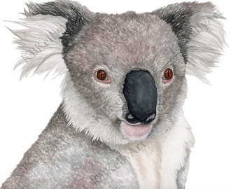 Koala Watercolor Art Print, Koala Wall Art, Australian Animal Decor, Baby Koala Nursery Print, Koala Bear Gifts, Koala Painting Home Decor.