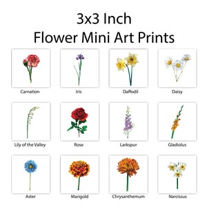 Mini Watercolor Flower Art Prints - Tiny Flower Paintings - Miniature Artwork Framed and Signed-Mini Wall Decor for Small Spaces - Cute Gift