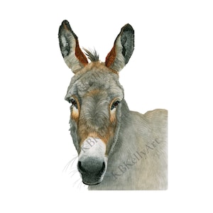 Donkey Watercolor Art Print Donkey Wall Art Farm Animal Donkey Painting Nursery Animal Print Farm Nursery Wall Decor Gifts for Donkey Lovers