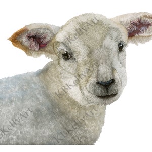 Lamb Watercolor Art Print Spring Lamb Print Lamb Painting Wall Art Farm Animals Nursery Decor Baby Sheep Easter Decor Lamb Gifts for Easter