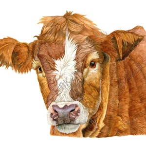 Cow Watercolor Art Print Farmhouse Wall Decor Cow Decor Rustic Country Brown Cow Painting Farm Animals Nursery Art Cattle Dairy Cow Cow Gift