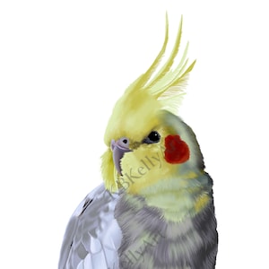 Cockatiel Art Print: Yellow Bird Pet Portrait, Bird Lover Gift