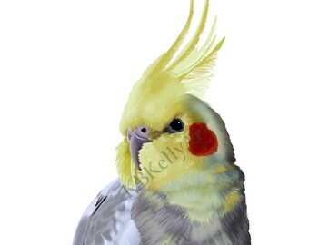 Cockatiel Art Print: Yellow Bird Pet Portrait, Bird Lover Gift