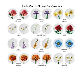 May include: A collection of car coasters featuring floral designs, each representing a birth month. The coasters display flowers like carnations, irises, daffodils, daisies, lilies, roses, larkspur, gladiolus, asters, marigolds, chrysanthemums, and narcissus.