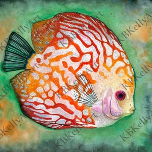 Discus Fish Watercolor Art Print, Fish Painting, Ocean Fish Art Print, Beach House Wall Art, Coastal Home Decor, Colorful Fish Decor, Gift