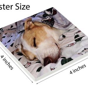 May include: Square coaster featuring a sleeping dog with tan and white fur, resting on a patterned blanket. The coaster is 4 inches by 4 inches.