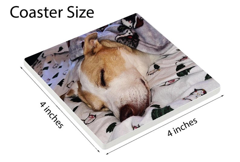 May include: Square coaster featuring a sleeping dog with tan and white fur, resting on a patterned blanket. The coaster is 4 inches by 4 inches.