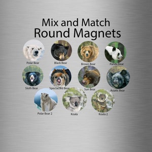 Bear Watercolor Magnets Round Magnets Button Magnet Set of Magnets Refrigerator Magnets Fridge Magnets Small Magnets 1.25 inches Bear Magnet